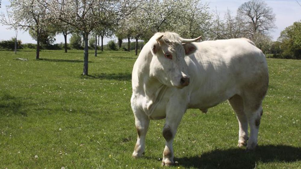 Les ONG enfoncent le clou