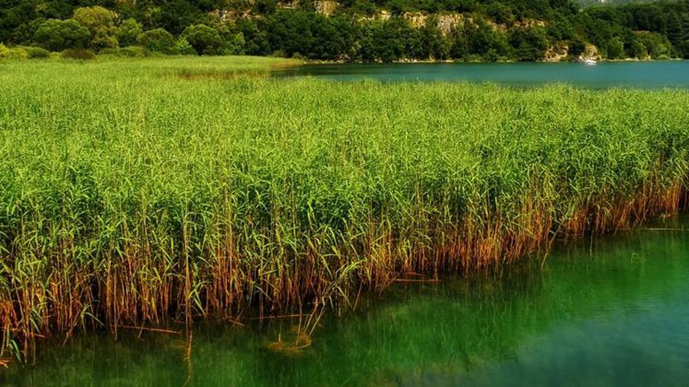 Des préconisations pour les zones humides