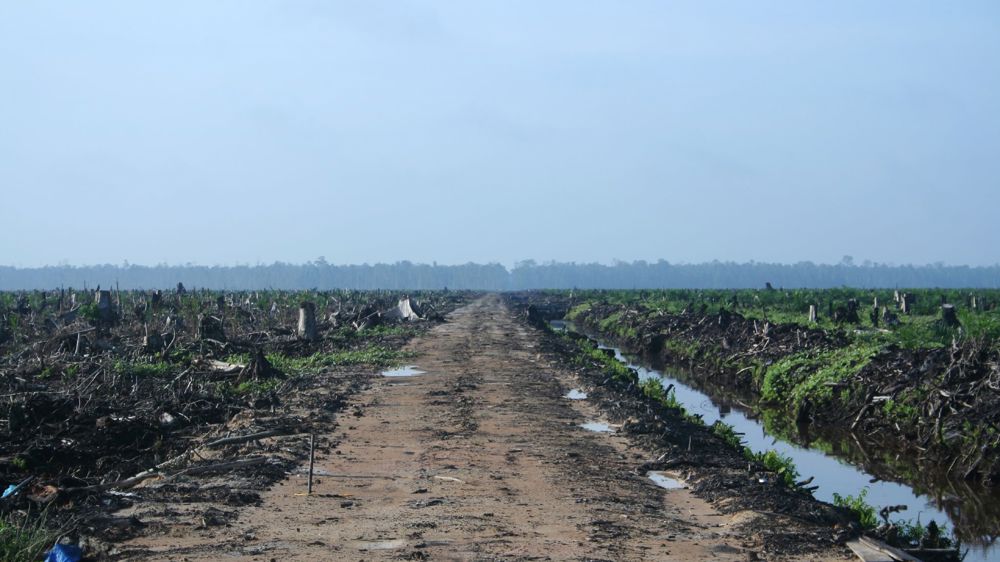 Des biocarburants importés à haut risque d’Iluc pourraient être certifiés