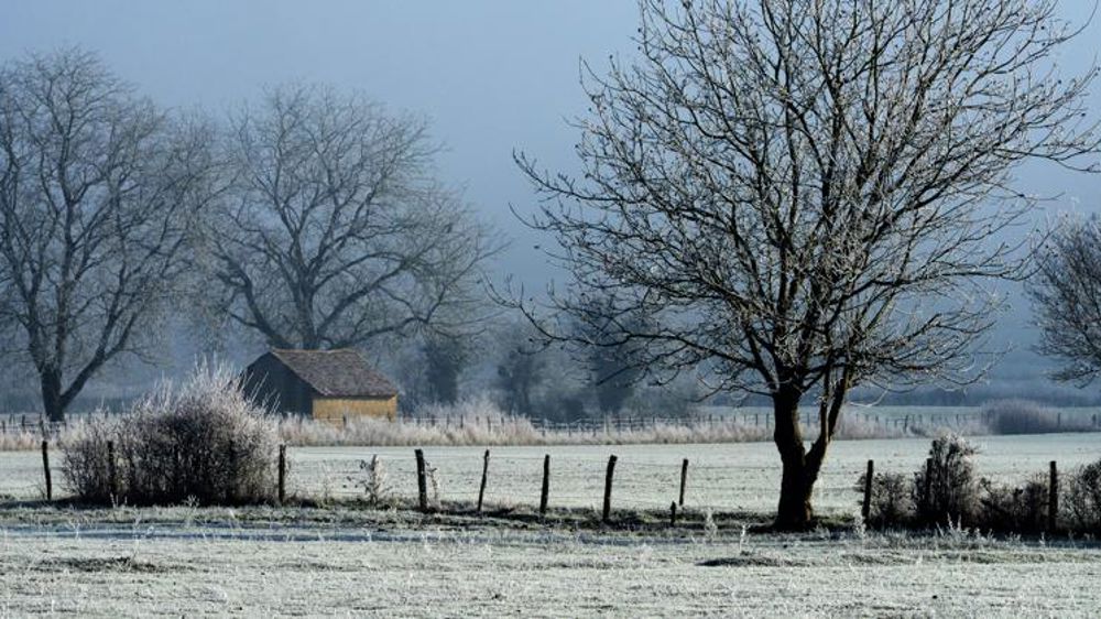 En janvier, des écarts climatiques peu marqués