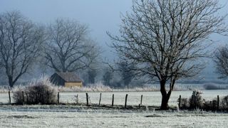 En janvier, des écarts climatiques peu marqués En janvier, des écarts climatiques peu marqués