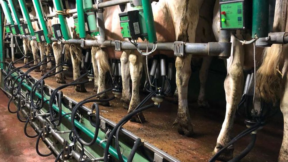 Le prix du lait marque le pas