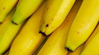 La banane européenne inquiète La banane européenne inquiète