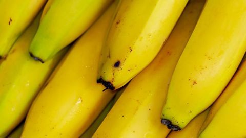 La banane européenne inquiète La banane européenne inquiète