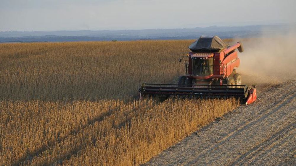 Moins de soja au Brésil, mais plus de maïs