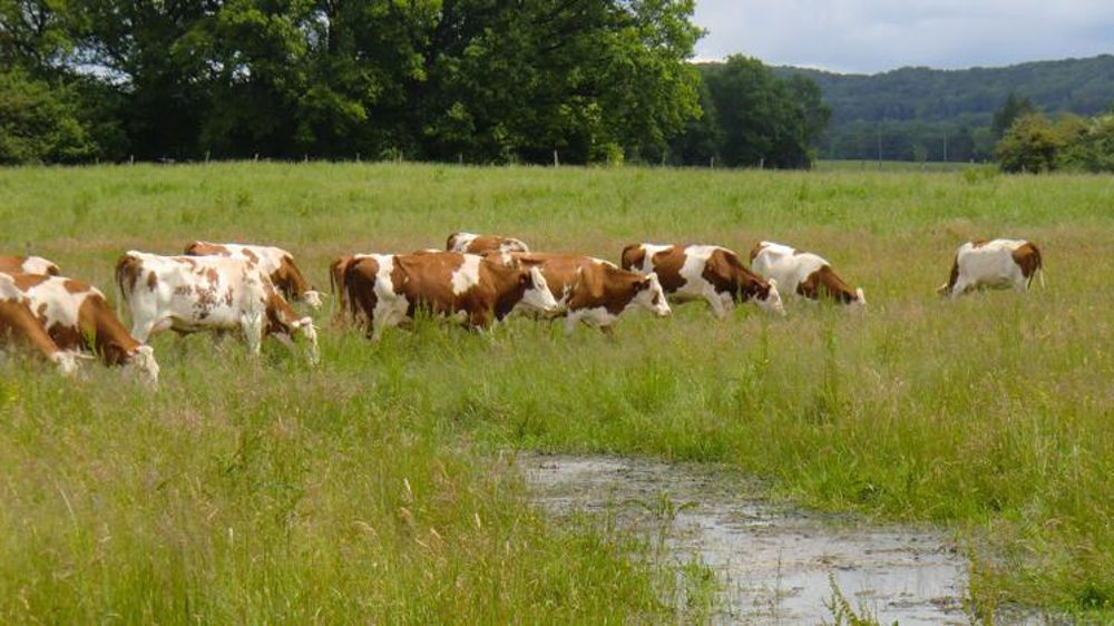 Catastrophe Naturelle : Des Communes De 21 Départements Reconnues