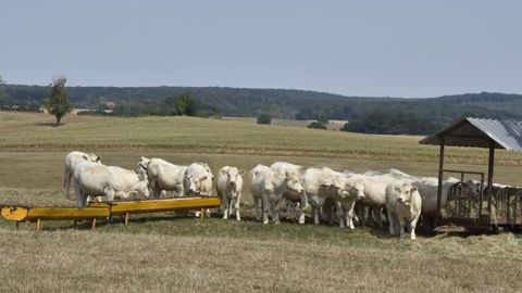 6 500 dossiers déjà payés 6 500 dossiers déjà payés