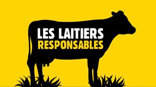 « Les laitiers responsables » devient une marque transversale « Les laitiers responsables » devient une marque transversale