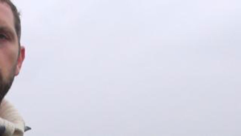 Quand les limaces attaquent (Vidéo)