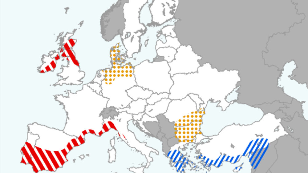 Faibles niveaux d’endurcissement des céréales d’hiver