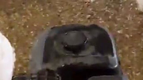 Il retourne son poulailler au motoculteur Il retourne son poulailler au motoculteur