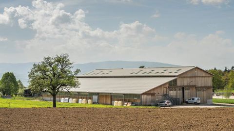 Un projet de loi « dans les prochaines semaines » Un projet de loi « dans les prochaines semaines »