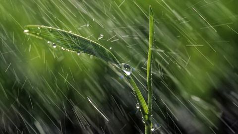 Une première quinzaine de mars contrastée