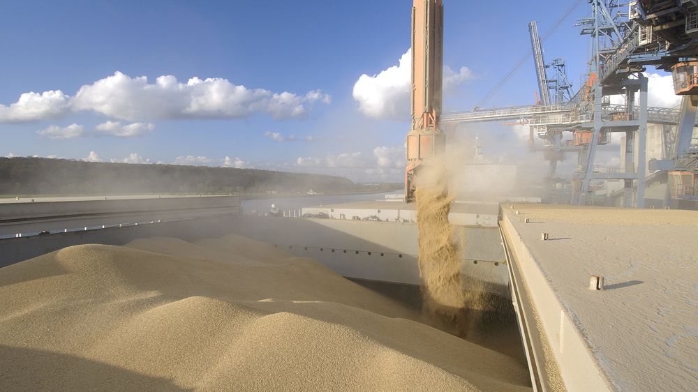 « Le blé français est un très bon blé moyen »