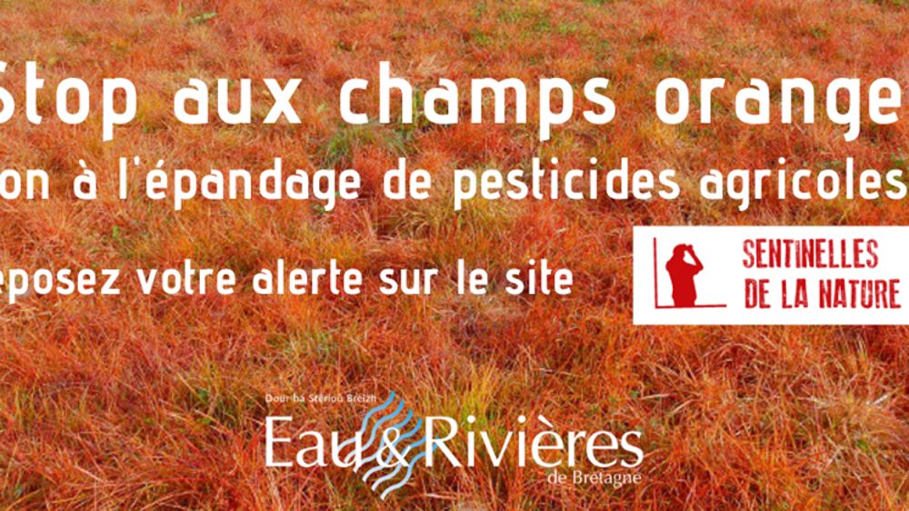 Une association appelle à la délation