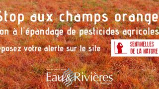 Une association appelle à la délation Une association appelle à la délation