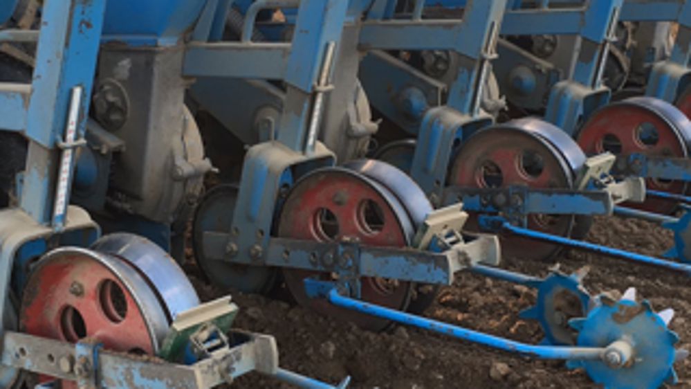 Tout le monde est beau, tout le monde sème