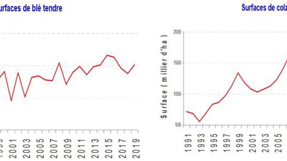 Des surfaces en hausse de 3,4 %