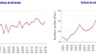 Des surfaces en hausse de 3,4 % Des surfaces en hausse de 3,4 %
