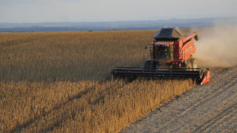 Une récolte de maïs en hausse de 16,5 %