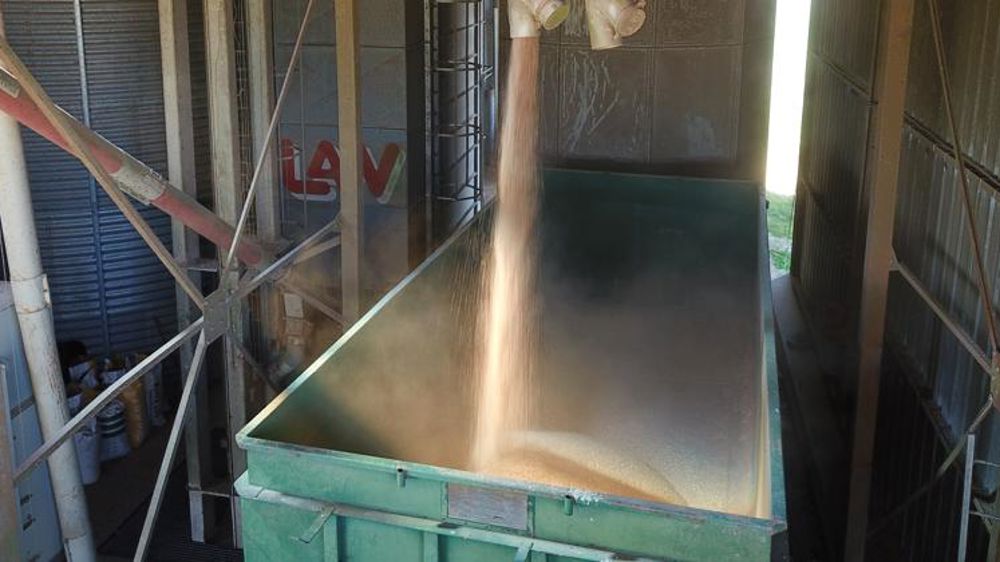 Le prix moyen toujours très populaire