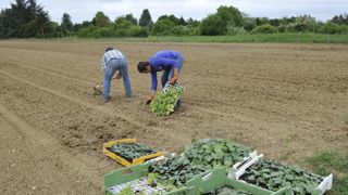 Le secteur agricole recrute toujours plus Le secteur agricole recrute toujours plus