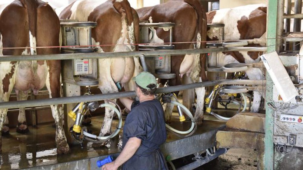 « Bonnes perspectives sur le marché mondial »