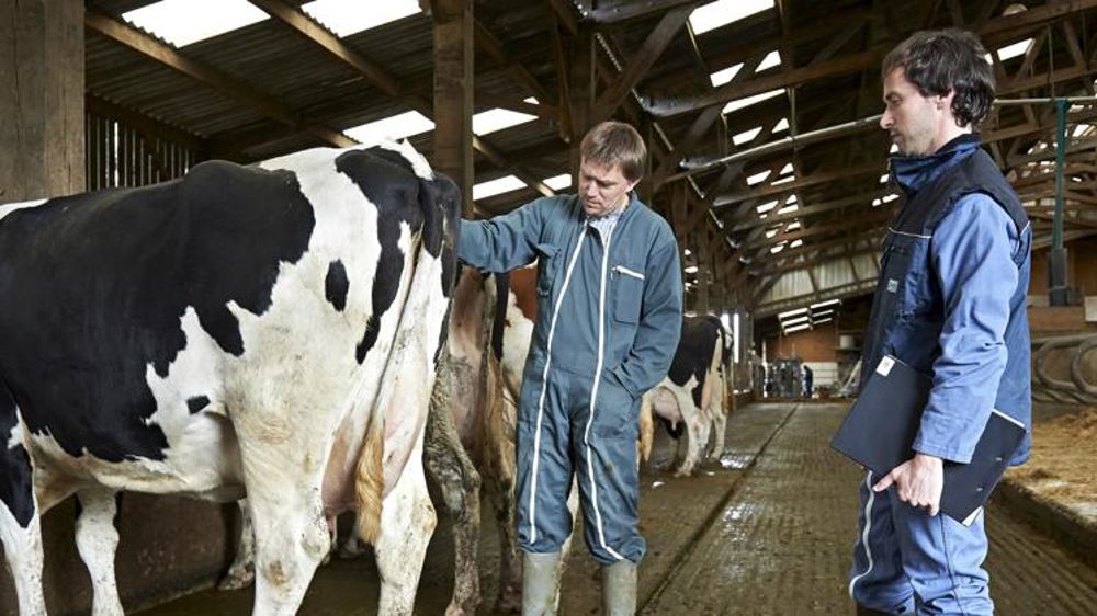 Deux sénatrices au chevet des GDS