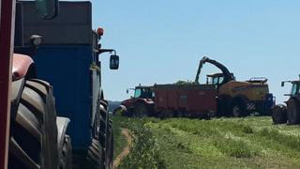 Ça pousse dans les champs