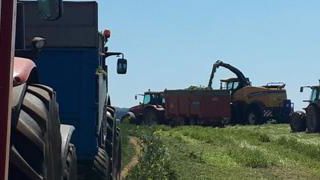 Ça pousse dans les champs Ça pousse dans les champs