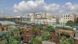 Quinze villes pour les « 48 heures de l’agriculture urbaine » Quinze villes pour les « 48 heures de l’agriculture urbaine »