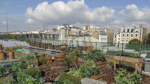 Quinze villes pour les « 48 heures de l’agriculture urbaine » Quinze villes pour les « 48 heures de l’agriculture urbaine »