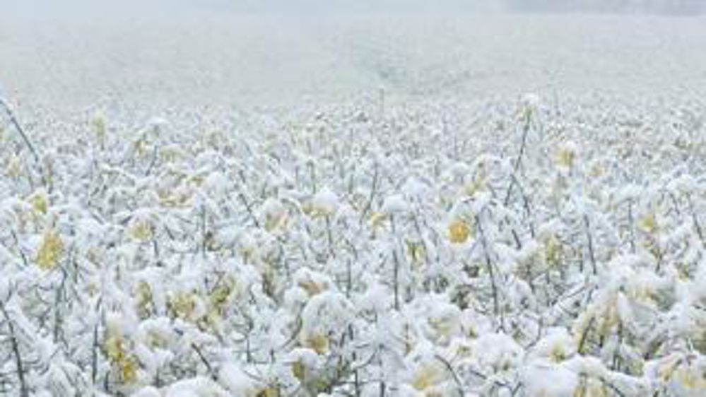 Le grand écart climatique