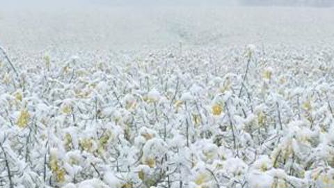 Le grand écart climatique Le grand écart climatique