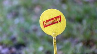 La cancérogénicité ou non du glyphosate crée la polémique La cancérogénicité ou non du glyphosate crée la polémique