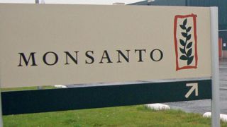 Monsanto condamné à verser 2 milliards de dollars Monsanto condamné à verser 2 milliards de dollars
