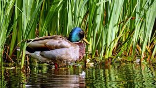 Le conseil de défense écologique est créé Le conseil de défense écologique est créé