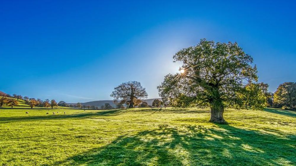 Le week-end prochain, l’été arrive !