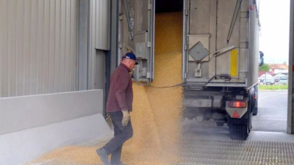 Le voyage d’un grain de blé à l’attention des enfants