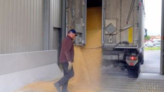 Le voyage d’un grain de blé à l’attention des enfants Le voyage d’un grain de blé à l’attention des enfants