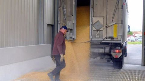 Le voyage d’un grain de blé à l’attention des enfants Le voyage d’un grain de blé à l’attention des enfants
