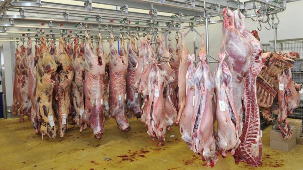 Des parts de marché françaises à la peine à l’exportation