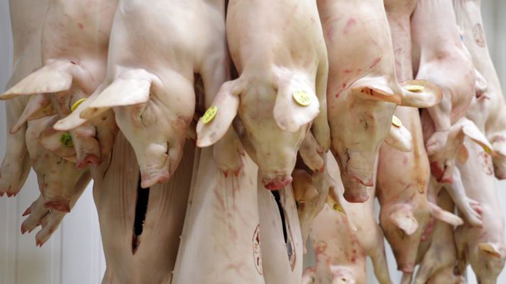 Les abattages marquent le pas