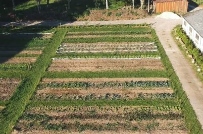 Planche de production de légumes. © Pierre Geyer