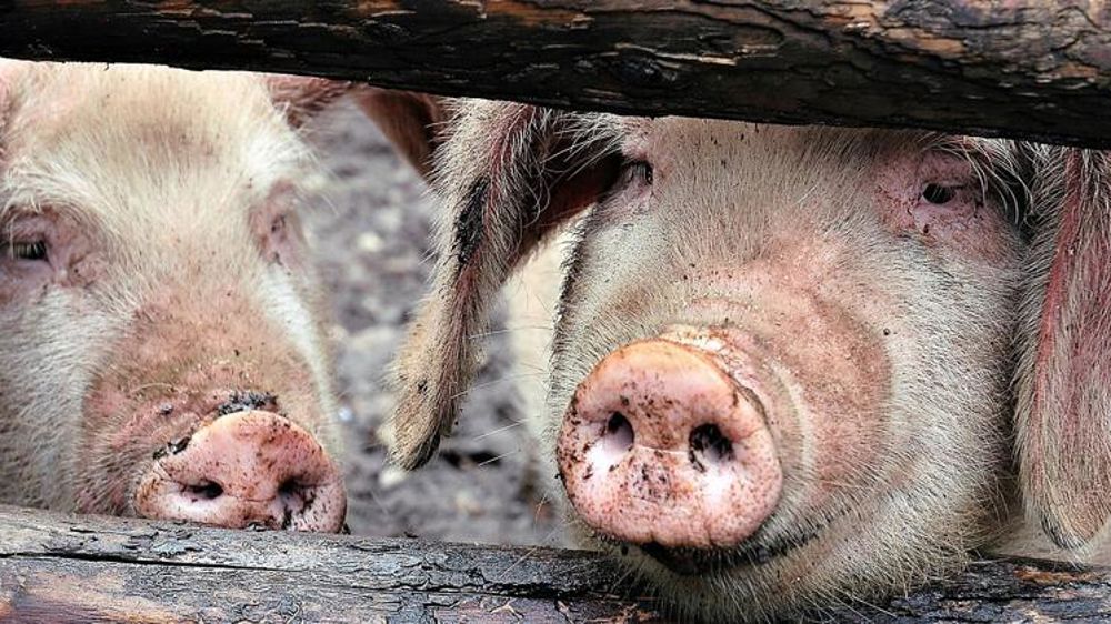 Des ravages potentiels pendant des années en Asie