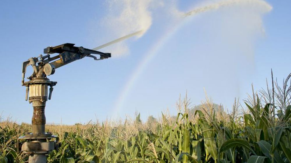 « Armistice » entre les agriculteurs et les autorités