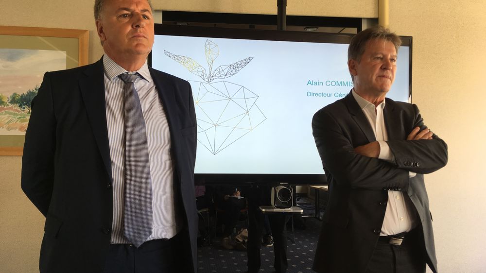 Cristal Union a perdu 99 millions d’euros