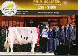 Sissi, appartenant à l'Earl de la Bouge en Loire-Atlantique est sacrée 