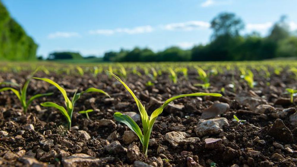 Progression des stades pour les cultures de printemps