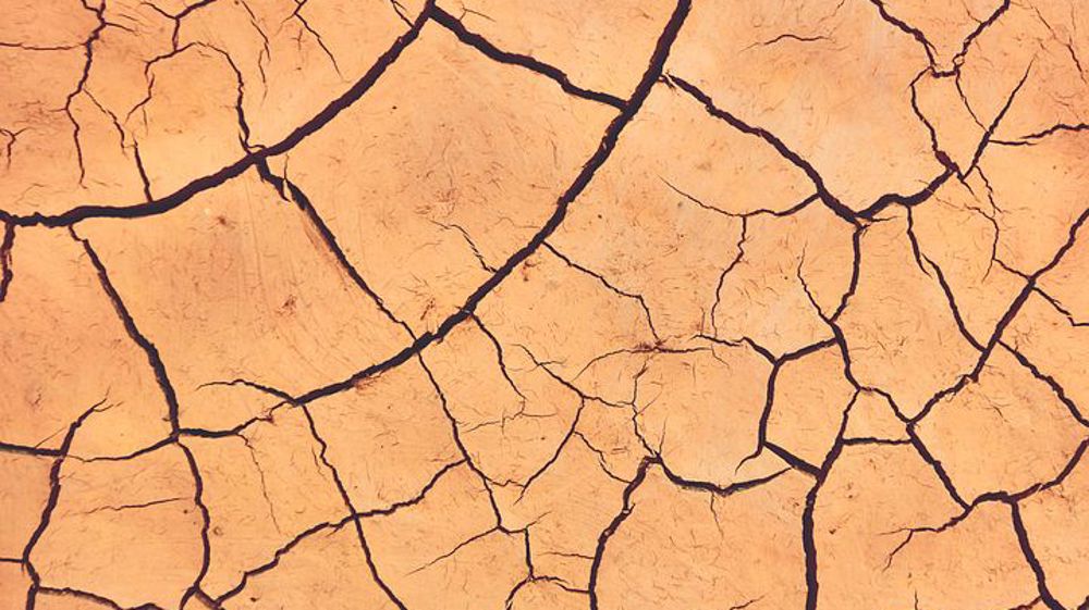 Les sénateurs proposent un plan d’adaptation de l’agriculture